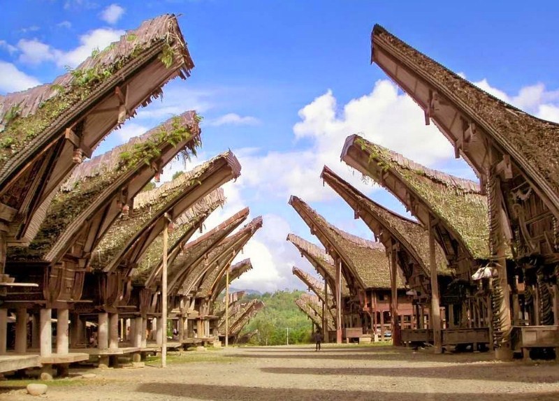 Rumah Adat Khas Suku Toraja